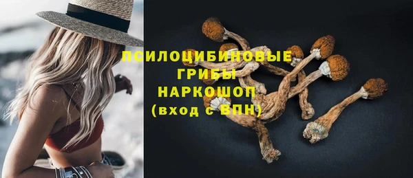 ешки Богородск