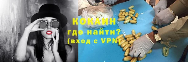 дмт Богданович