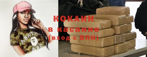 дмт Богданович