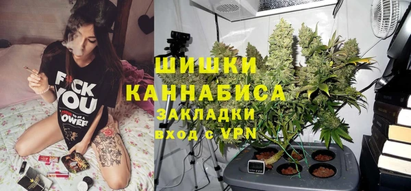 мдпв Богородицк