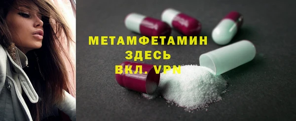 дмт Богданович