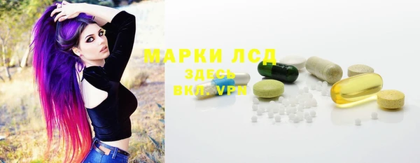 дмт Богданович