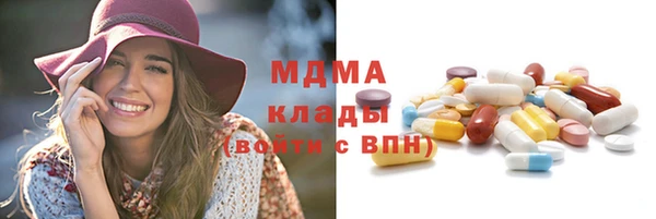 мдпв Богородицк