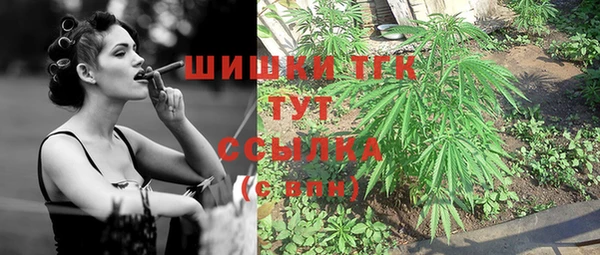 дмт Богданович