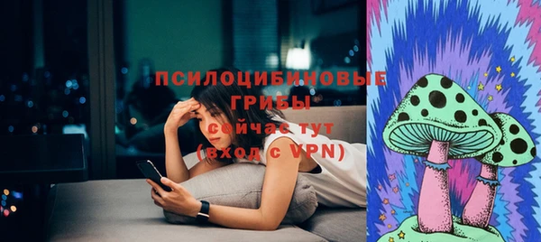 ешки Богородск