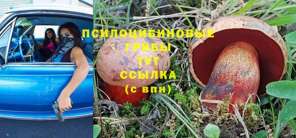 дмт Богданович