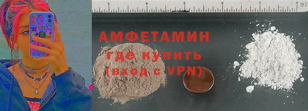 дмт Богданович