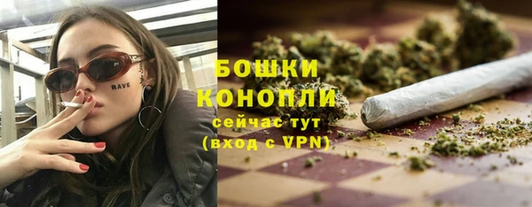 мдпв Богородицк