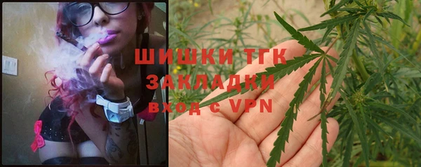 мдпв Богородицк